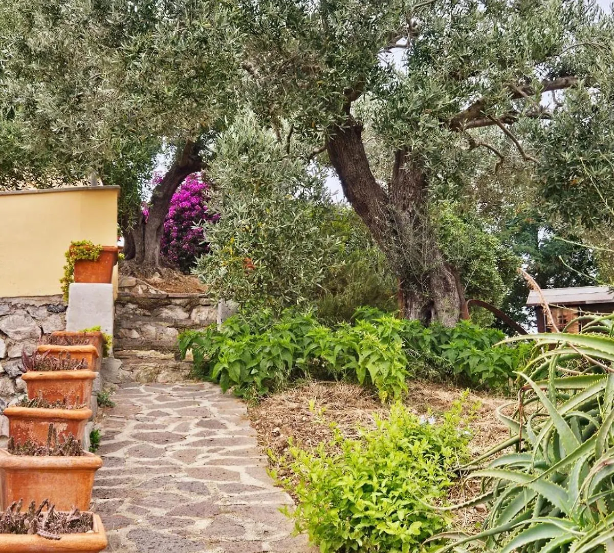 Appartamento A Casa Di Titti - Goelba Capoliveri  Italia