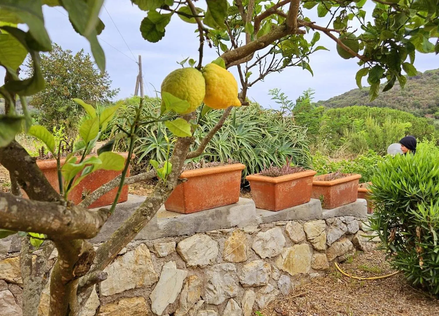 Appartamento A Casa Di Titti - Goelba Capoliveri  Italia